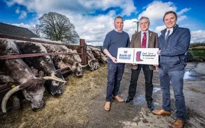 Farm Quality Assured Beef and Lamb on Menu During Bank of Ireland Open Farm Weekend